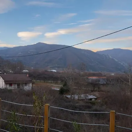 Balou Pet-friendly Orma