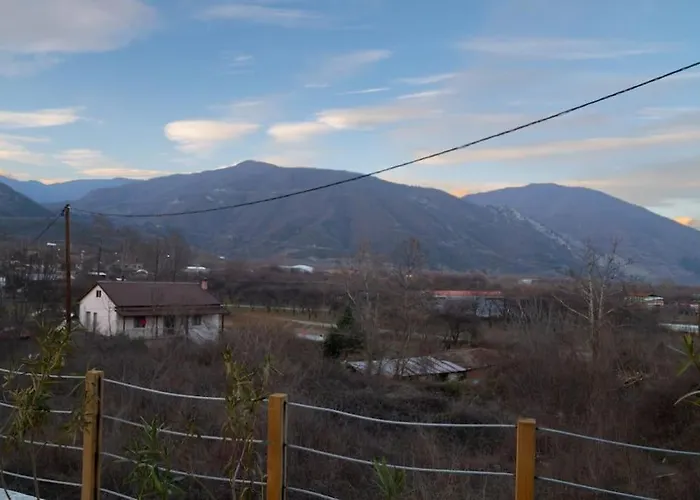 Balou Pet-friendly Órma